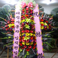 축하5단화환