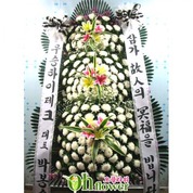 근조3단화환(왕특대) 근조3단화환(왕특대)