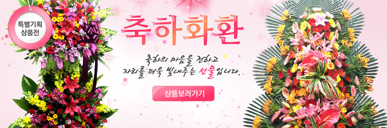 결혼/행사